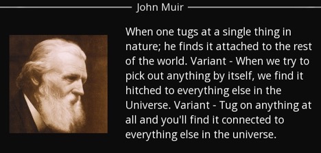 muir