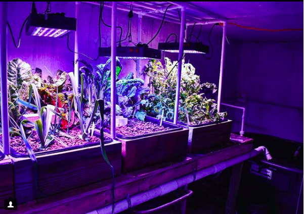 Screen Shot 2018-02-04 at 10.48.00 AM