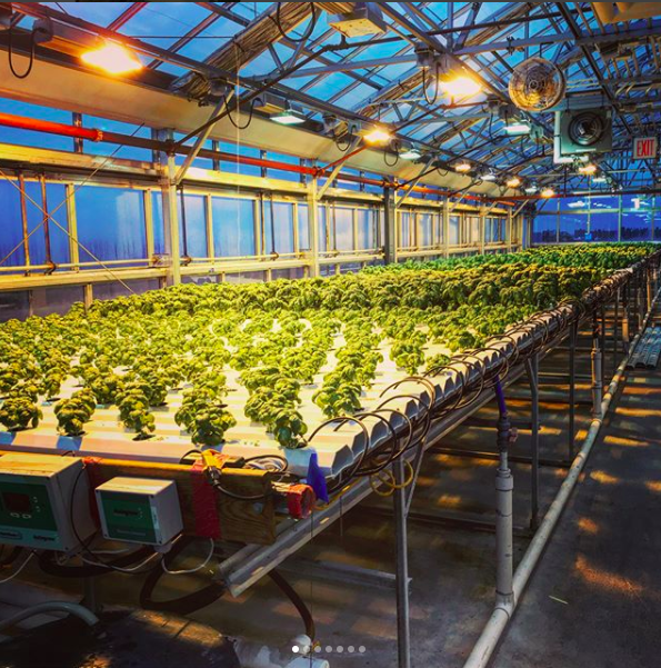 Screen Shot 2018-02-20 at 2.32.14 PM.png