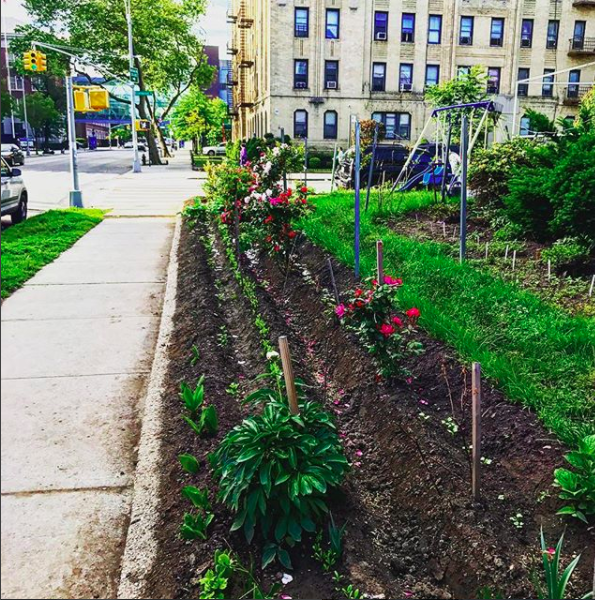 Screen Shot 2018-02-20 at 2.44.51 PM.png